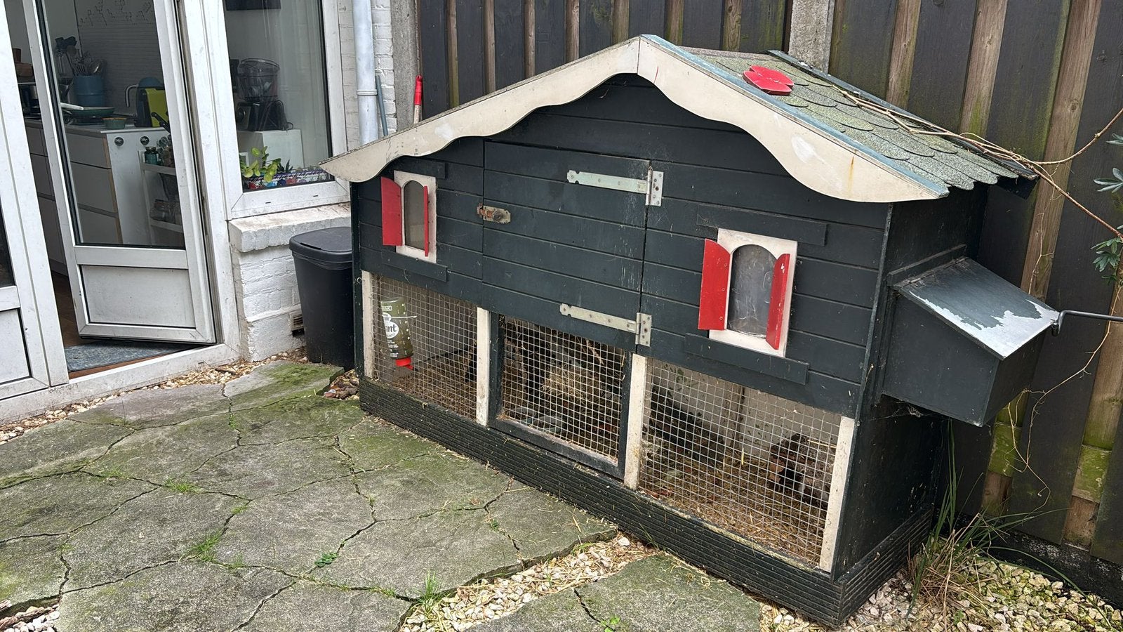Ruim houten kippenhok / caviaverblijf / konijnenhok, Ophalen, Gebruikt, Cavia, 90 cm of meer