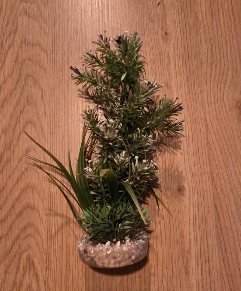 Plant aquarium (nep), Dieren en Toebehoren, Vissen | Aquaria en Toebehoren, Ophalen, Plant(en), Steen of Hout