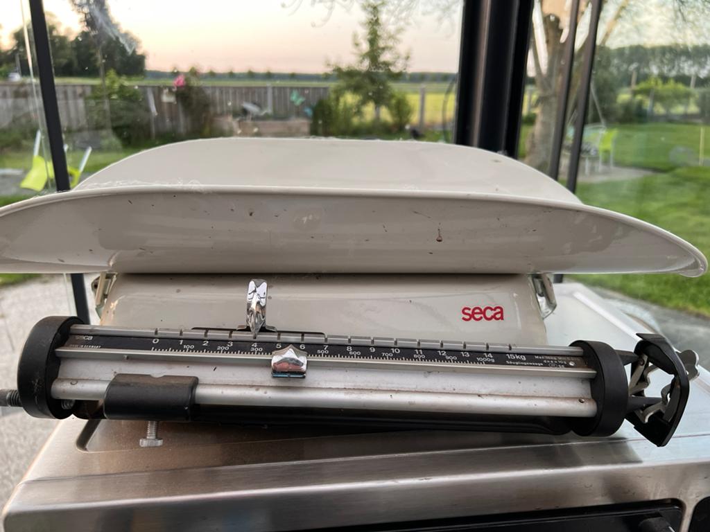 Seca weegschaal, Witgoed en Apparatuur, Weegschalen, Ophalen of Verzenden, Gebruikt, Personenweegschaal, 100 kg of meer