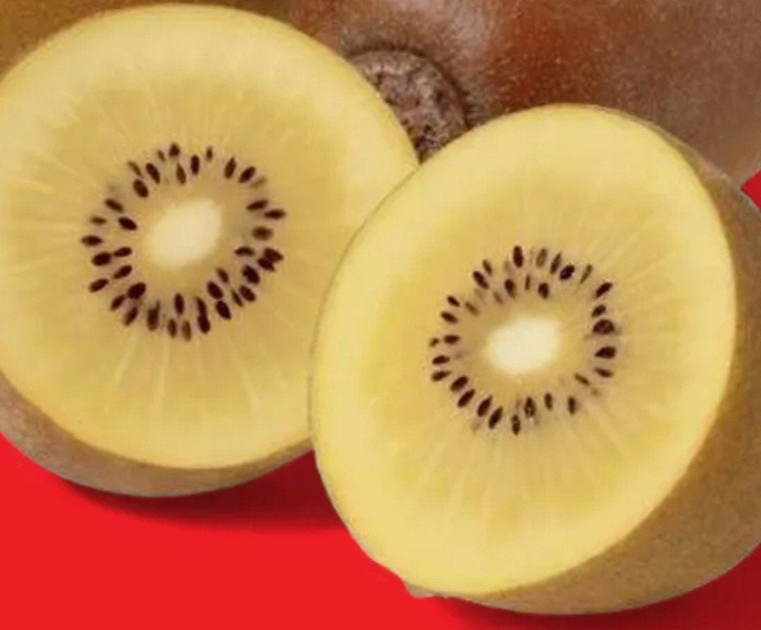 Kiwi plant, Ophalen of Verzenden, Eenjarig, Groenteplanten, Volle zon