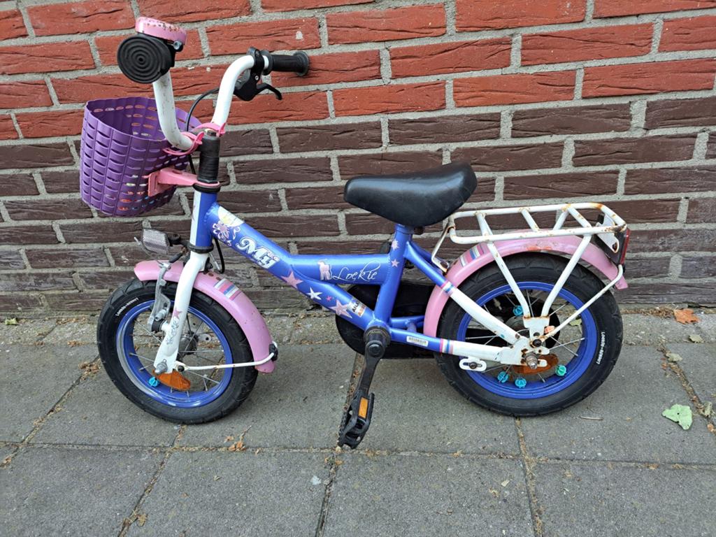Meisjes fietsje 12,5 inch, Ophalen, Terugtraprem, LOEKIE, Gebruikt