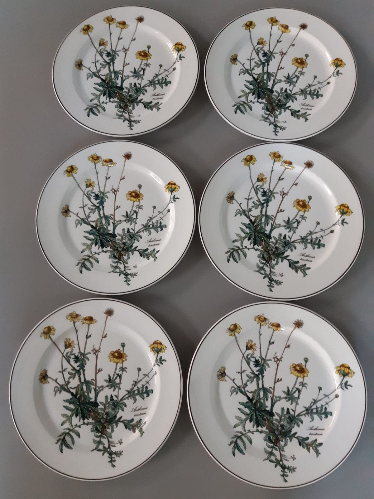 Dinerborden 24 cm Villeroy en Boch Botanica, 9 beschikbaar, Huis en Inrichting, Keuken | Servies, Ophalen of Verzenden, Zo goed als nieuw