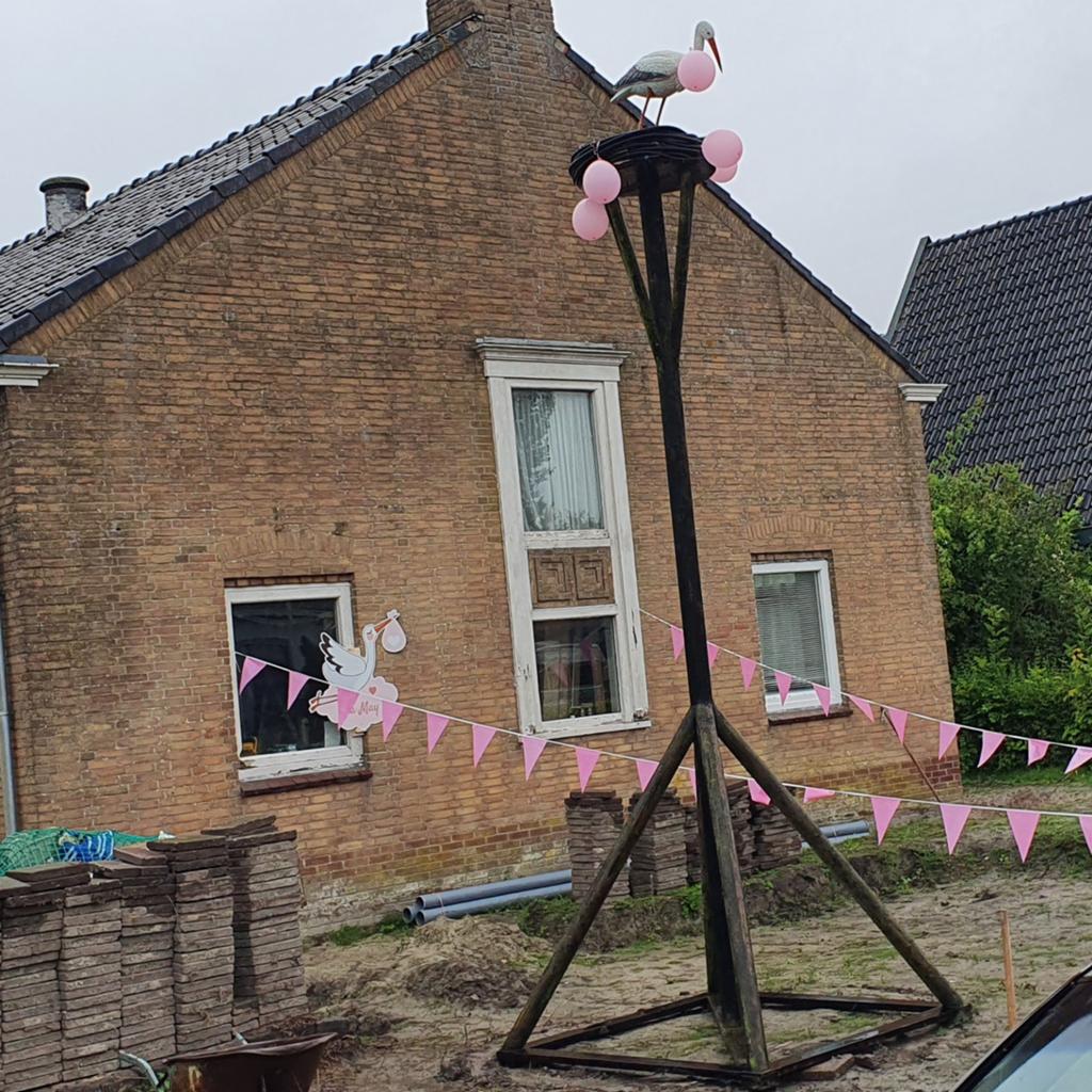 Geboorte ooievaar met nest en roze ballonnen, Kinderen en Baby's, Kraamcadeaus en Geboorteborden, Ophalen of Verzenden