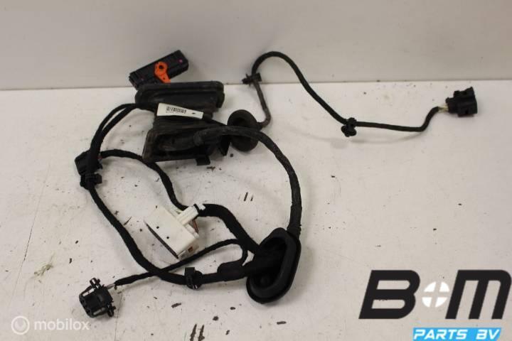 Kabelboom voor portier VW Passat B6 Sedan, Gebruikt