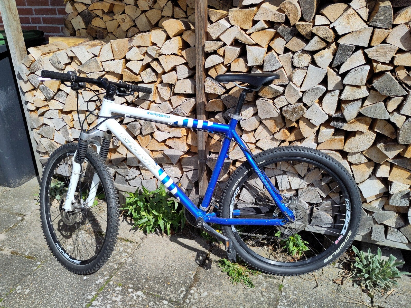 Giant Terrago Mountainbike - Maat L, Ophalen, Gebruikt, Heren, Giant