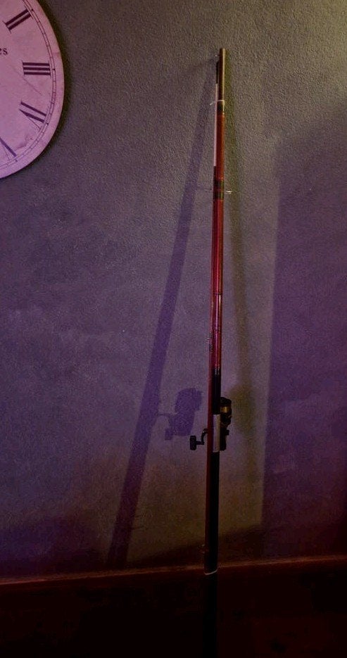 Zeehengel met molen - Ideaal voor strandvissen, Watersport en Boten, Hengelsport | Algemeen, Ophalen, Gebruikt, Complete hengel