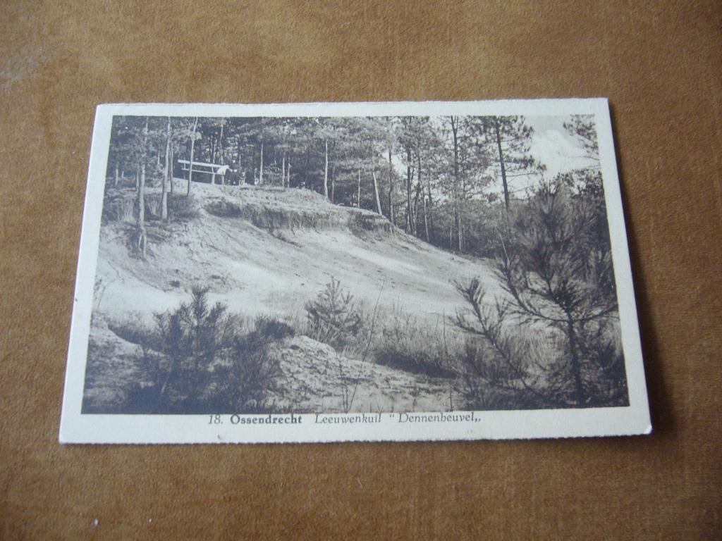 OSSENDRECHT  =  LEEUWENKUIL - DENNENHEUVEL, Ophalen of Verzenden, 1920 tot 1940, Ongelopen