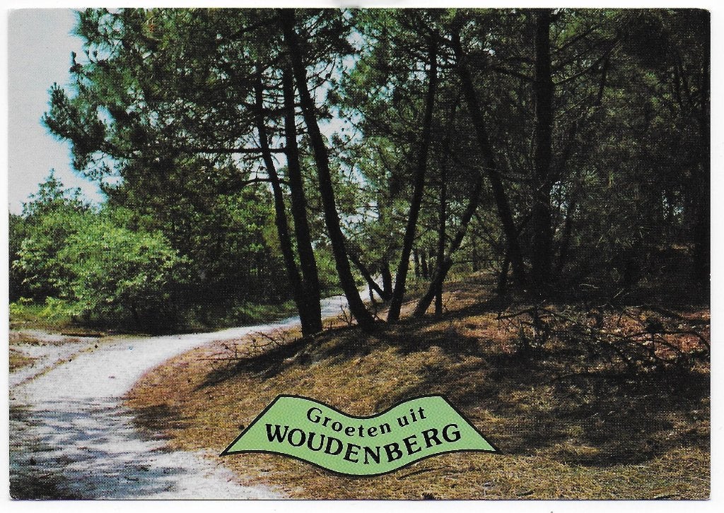 Woudenberg Gelopen Ansichtkaart ( B6155 ), Ophalen of Verzenden, 1980 tot heden, Gelopen