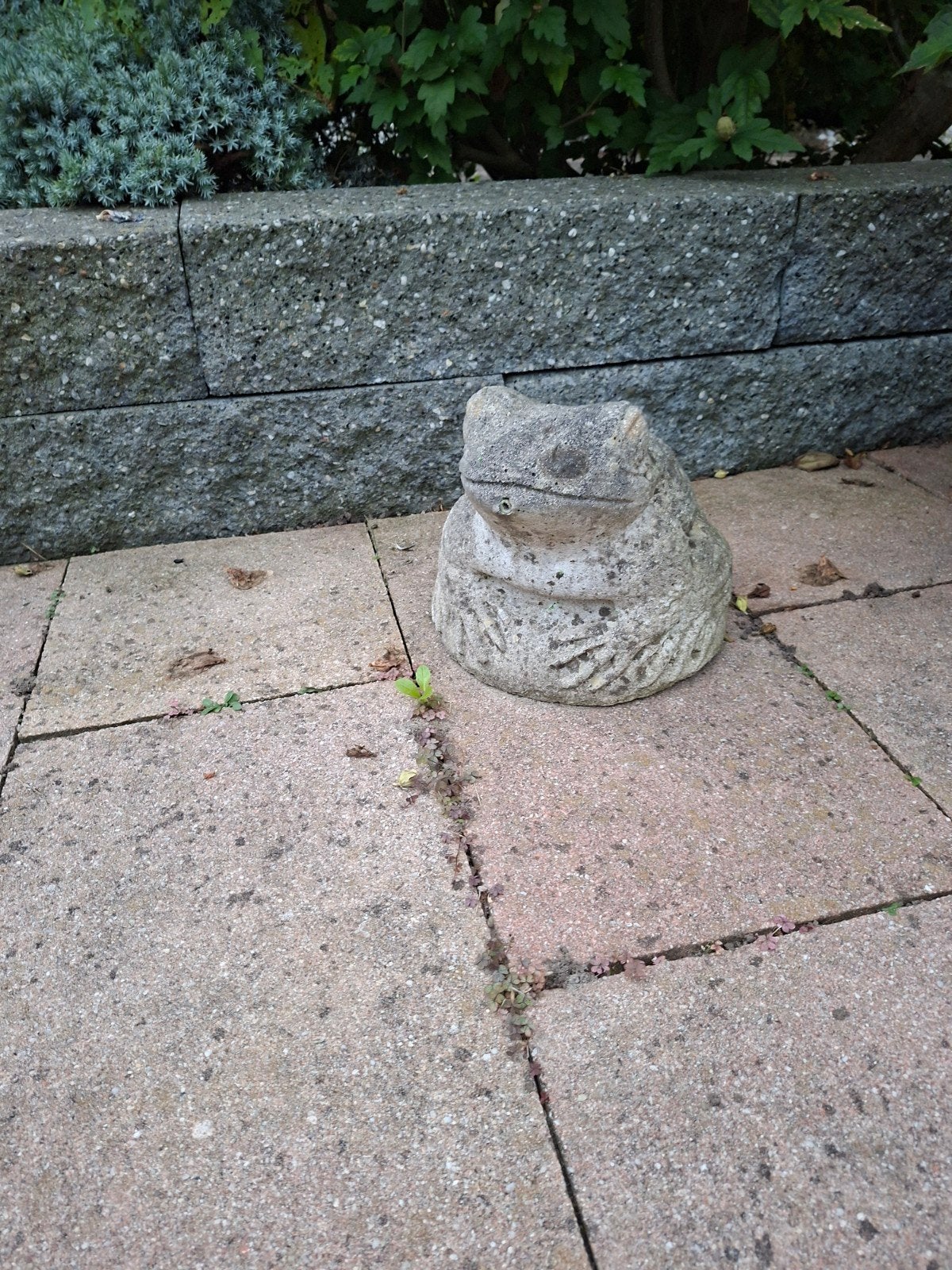 GRATIS betonnen kikker voor bij vijver zonder pomp GRATIS, Ophalen, Gebruikt, Beton, Dierenbeeld
