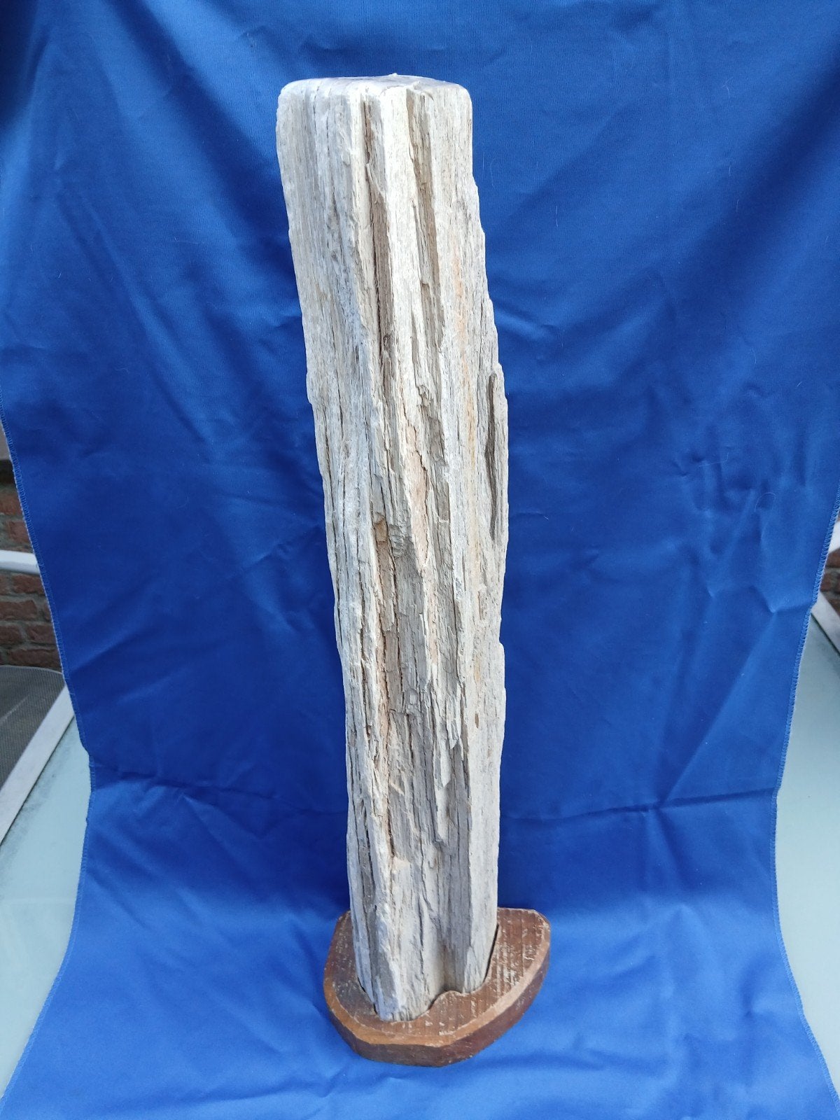 versteend hout., Ophalen of Verzenden