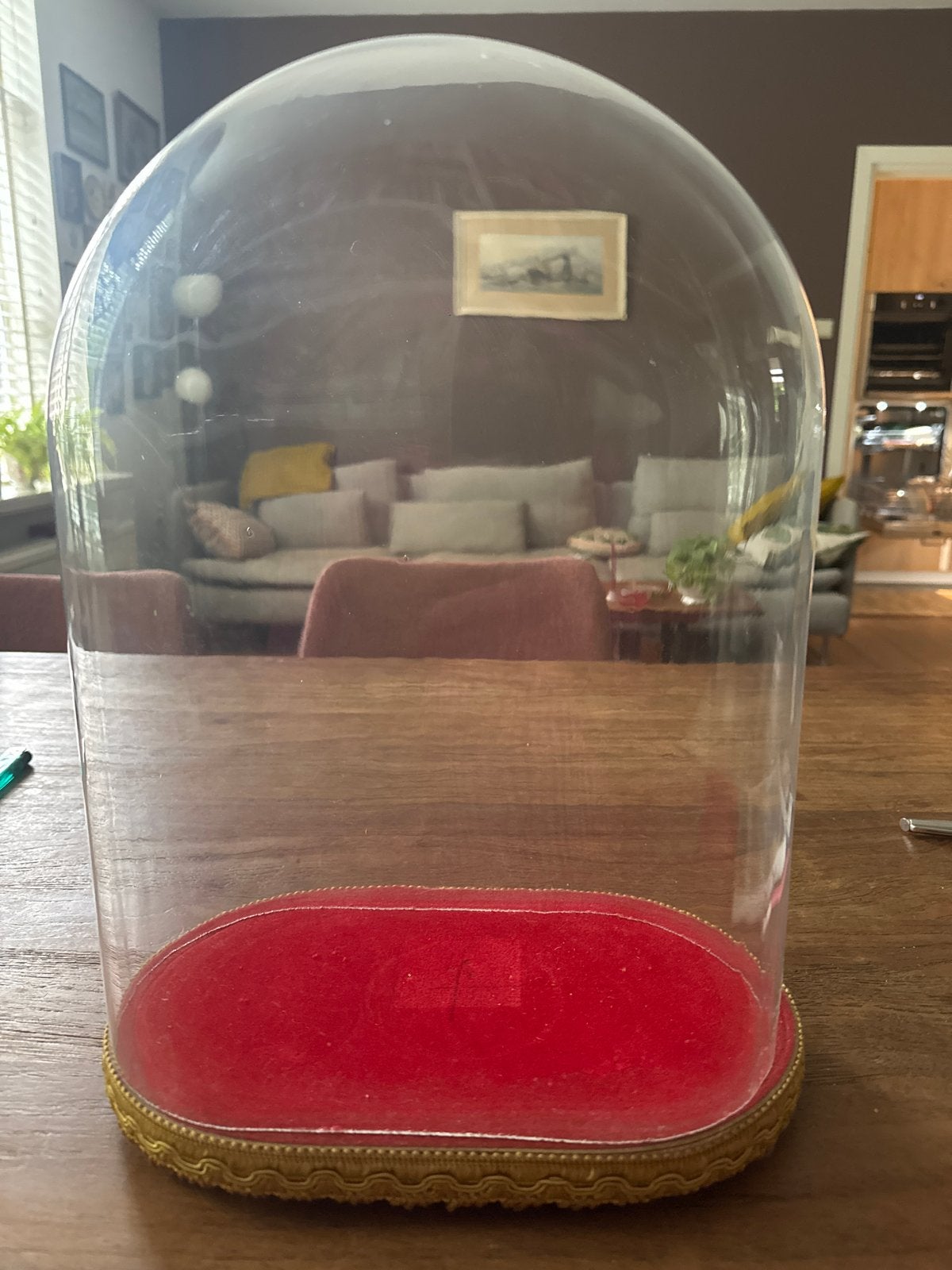Antieke glazen stolp met fluwelen bodem, Antiek en Kunst, Ophalen
