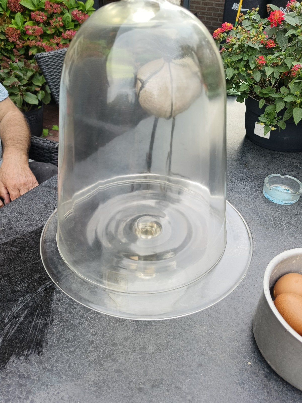 Grote glazen stolp met plateau, Glas, Ophalen of Verzenden, Gebruikt, Met plateau