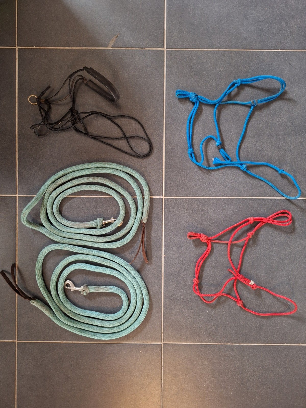 Set touwhalsters met leadropes voor grondwerk, Ophalen of Verzenden