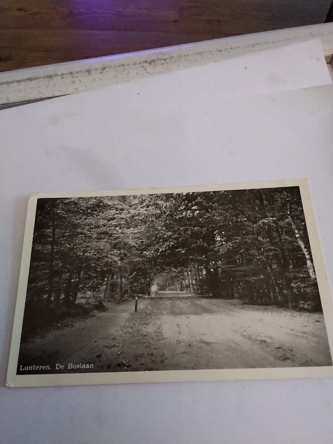 Oude Ansichtkaart Lunteren: De Boslaan (Gelopen), Ophalen of Verzenden, Voor 1920, Gelopen, Gelderland