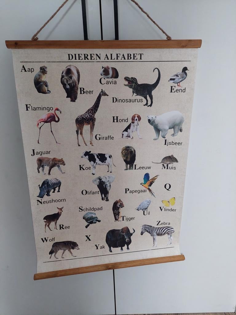 Abc alfabet poster in koker nieuw, Antiek en Kunst, Ophalen, Natuur en Biologie