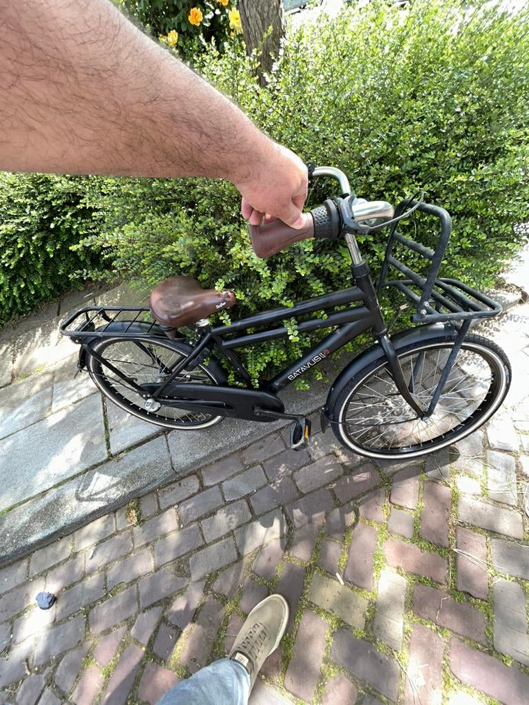 batavus 2 fiets, Ophalen, Zo goed als nieuw, Kinderkar, 80 kg of meer