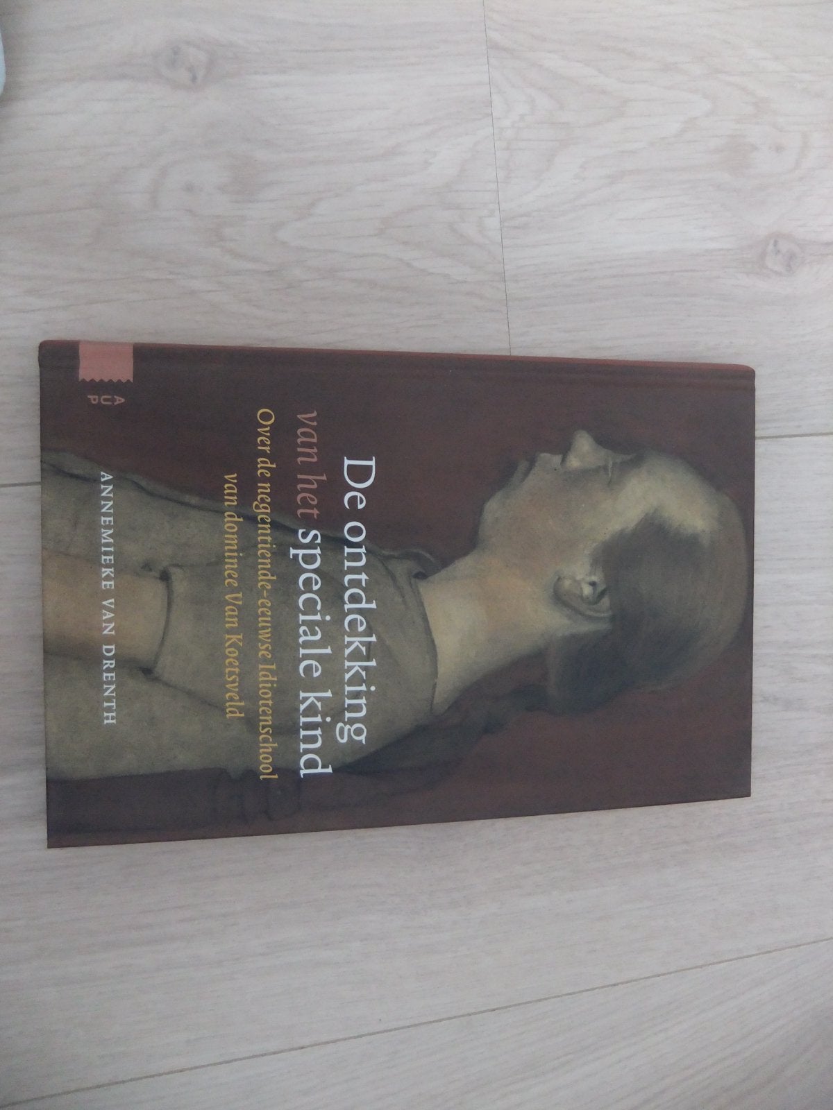 Annemieke van Drenth - De ontdekking van het speciale kind, Boeken, Annemieke van Drenth, Nieuw, Ophalen of Verzenden, WO