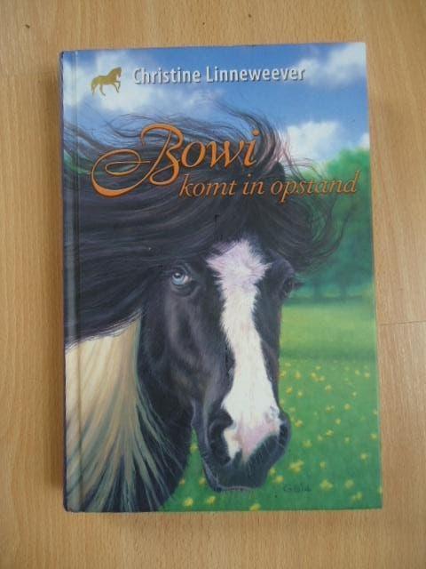 Bowi komt in opstand,  Christine Linneweever, Boeken, Ophalen of Verzenden, Zo goed als nieuw, Fictie algemeen