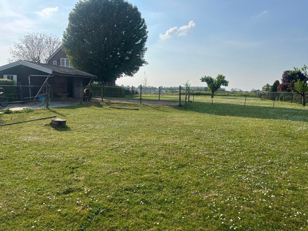 Weidegang aan huis aangeboden voor 2 pony’s/ shetlanders, Dieren en Toebehoren, Stalling en Weidegang, Weidegang