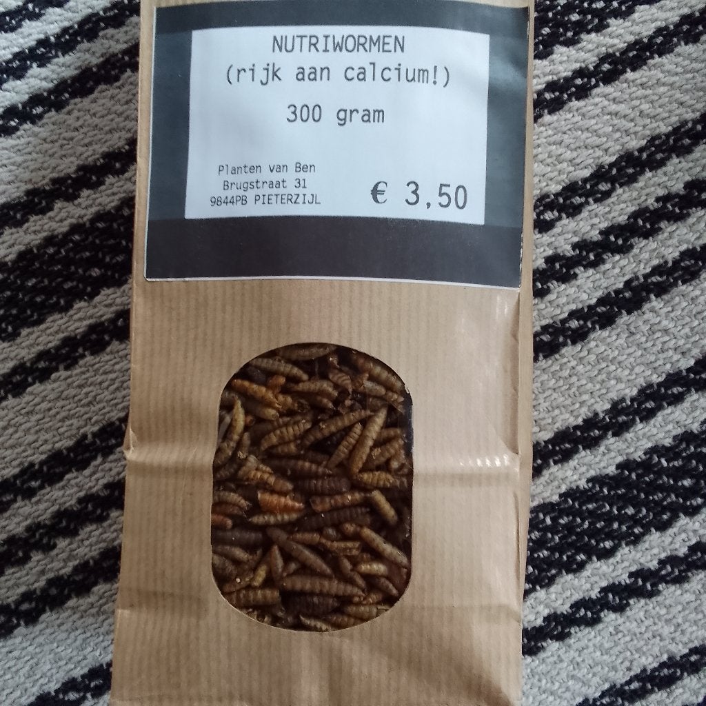 Nutriwormen, Ophalen of Verzenden, Nieuw