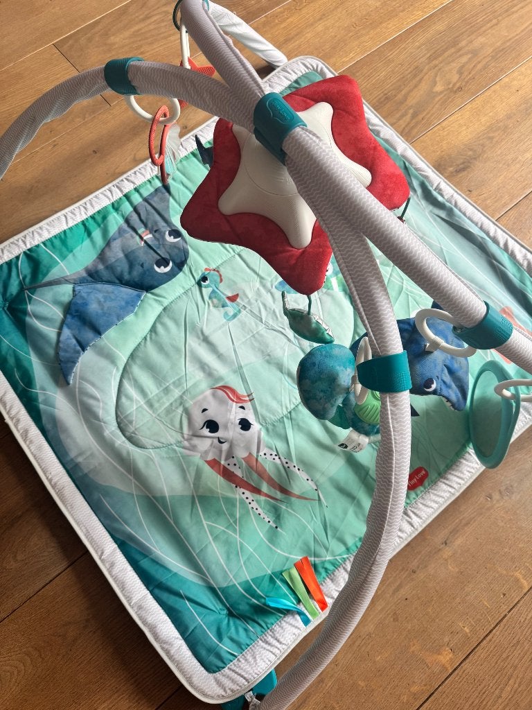 Baby speelkleed Tiny love, Ophalen, Zo goed als nieuw