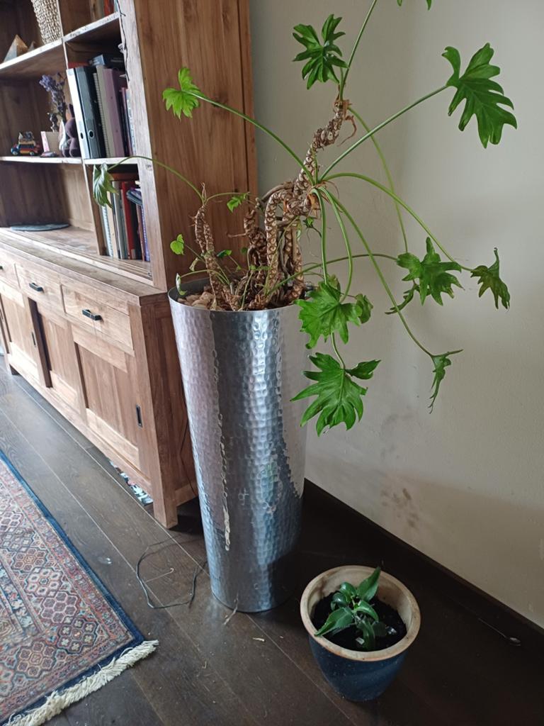 Zilveren hoge plantenbak - Design met plant, Ophalen of Verzenden, Gebruikt