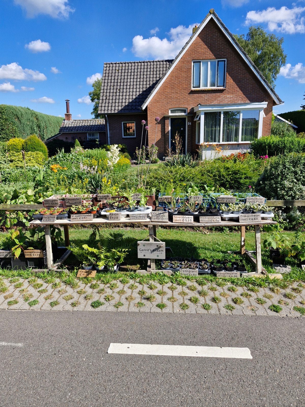 Kraampje met vaste planten en struiken, Tuin en Terras, Planten | Tuinplanten, Vaste plant, Halfschaduw, Zomer, Ophalen