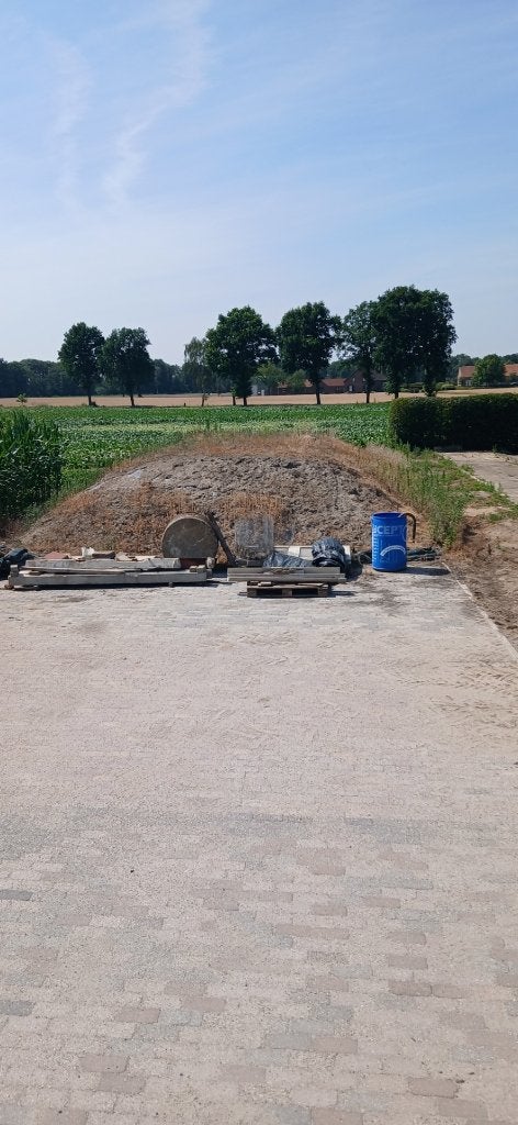 Te koop Snij / kuilmaïs, Dieren en Toebehoren, Dierenvoeding, Ophalen, Vee
