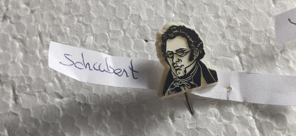 Schubert componist klassieke muziek, Ophalen of Verzenden, Zo goed als nieuw, Overige onderwerpen