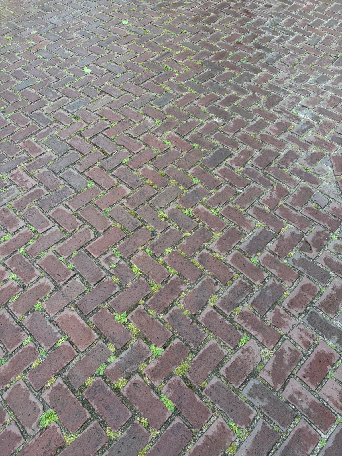 Oud gebakken Keiformaat Rood/Paars 2200m2, Gebruikt, Keramiek, Klinkers, Ophalen of Verzenden