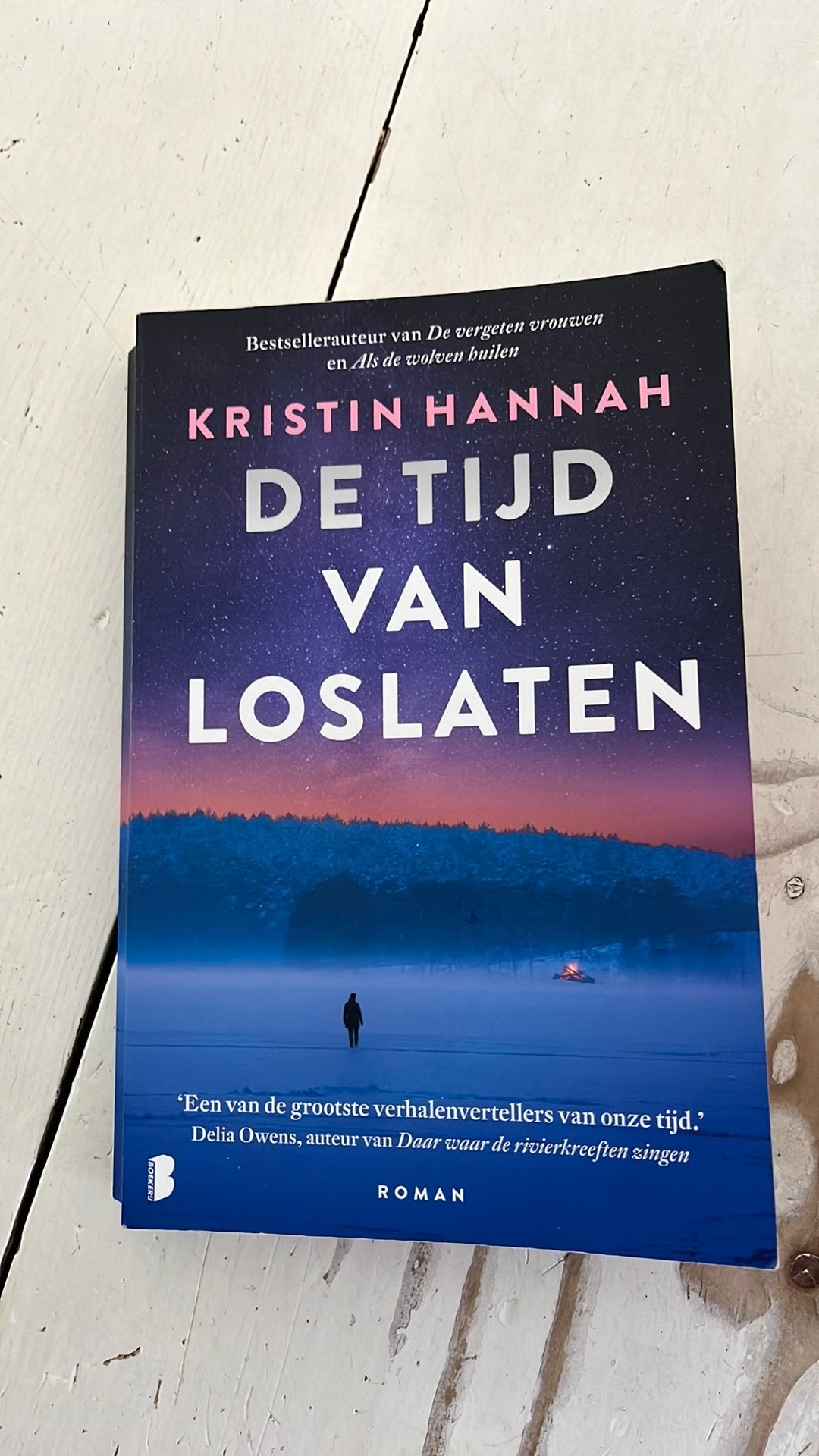 Kristin Hannah - De tijd van loslaten - Z.G.A.N., Ophalen of Verzenden, Zo goed als nieuw, Kristin Hannah, Amerika