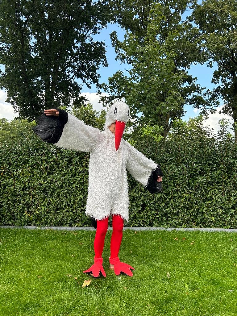 Te Huur: Ooievaar-Kostuum, Geboorte, Carnaval, Ooievaar, Ophalen of Verzenden, Zo goed als nieuw, Carnaval