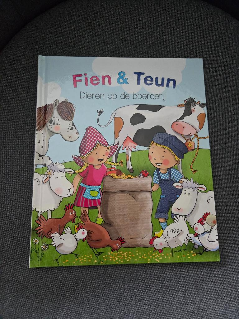 Fien en Teun leesboek, Ophalen of Verzenden, Gelezen, Fictie algemeen