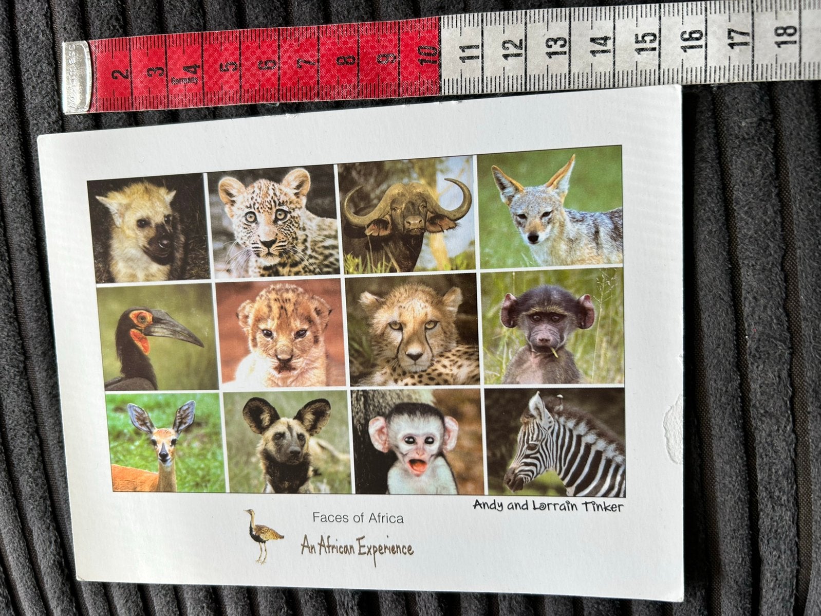 777. Kaart dieren Afrika, Verzamelen, Ansichtkaarten | Themakaarten, Ophalen of Verzenden, 1980 tot heden