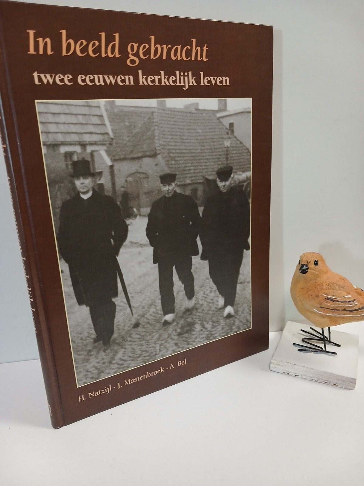 Natzijl, H. e.a.; In beeld gebracht (2 eeuwen kerkelijk leve, Ophalen of Verzenden, Gelezen, Christendom | Protestants