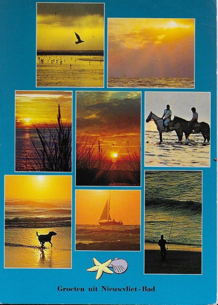 Nieuwvliet - Bad Gelopen Ansichtkaart ( 4156 ), Ophalen of Verzenden, 1980 tot heden, Gelopen