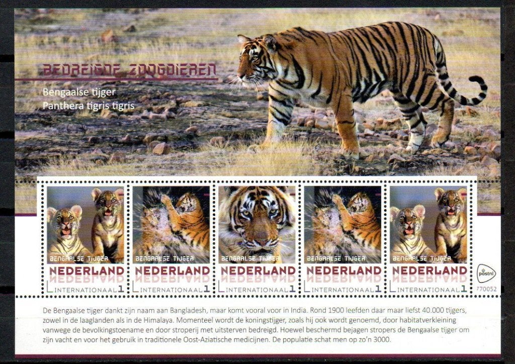 vel persoonlijke internationale zegels pf bengaalse tijger, Ophalen of Verzenden, Na 1940, Postfris