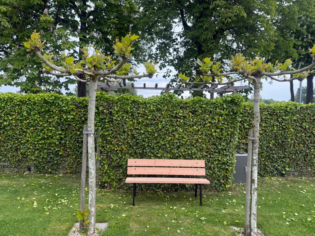 Tuinbankje 160 cm lang - maatwerk mogelijk - beste prijs, Ophalen of Verzenden, Nieuw, Hout