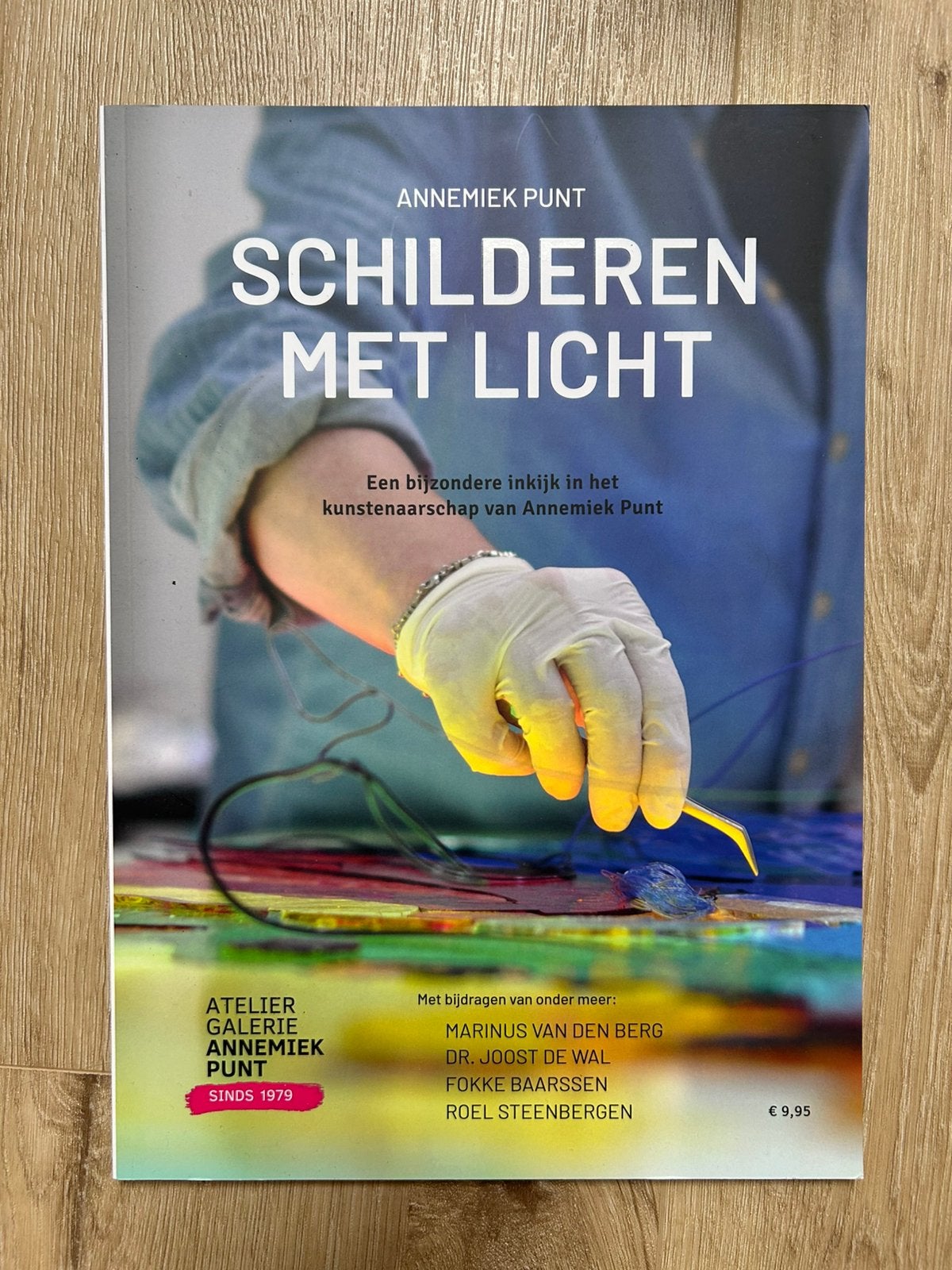 Schilderen met licht - Annemiek Punt, Ophalen of Verzenden, Zo goed als nieuw