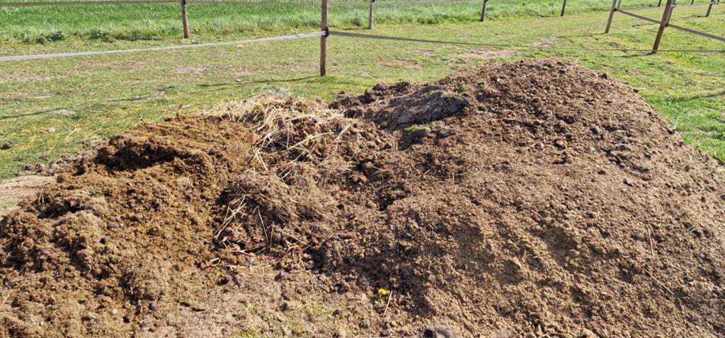 Gratis paardenmest af te halen, Tuin en Terras, Aarde en Mest, Ophalen, Mest