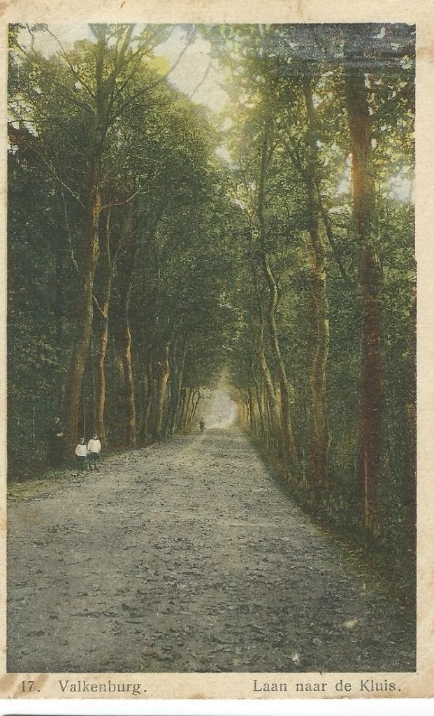 ANSICHTKAART VALKENBURG   Laan naar de kluis, Ophalen of Verzenden, 1940 tot 1960, Gelopen, Limburg