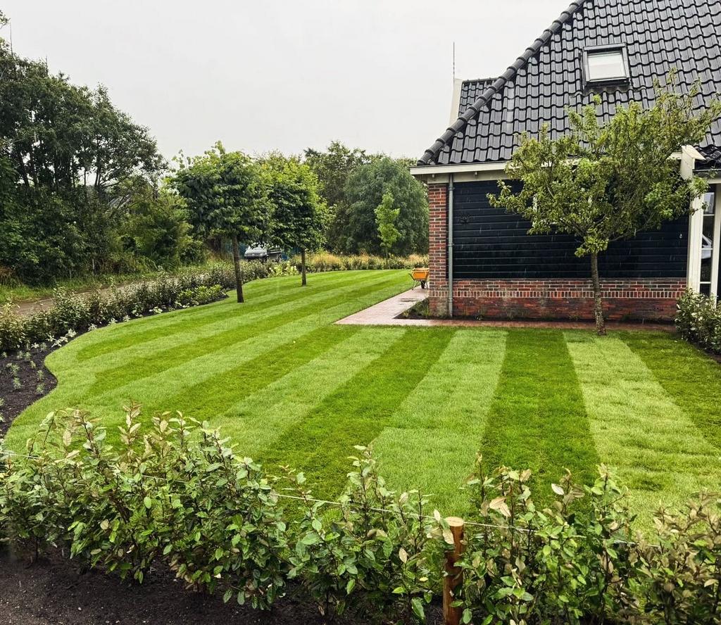 Verse graszoden Heemskerk, Ophalen, Nieuw, 20 m² of meer, Gras