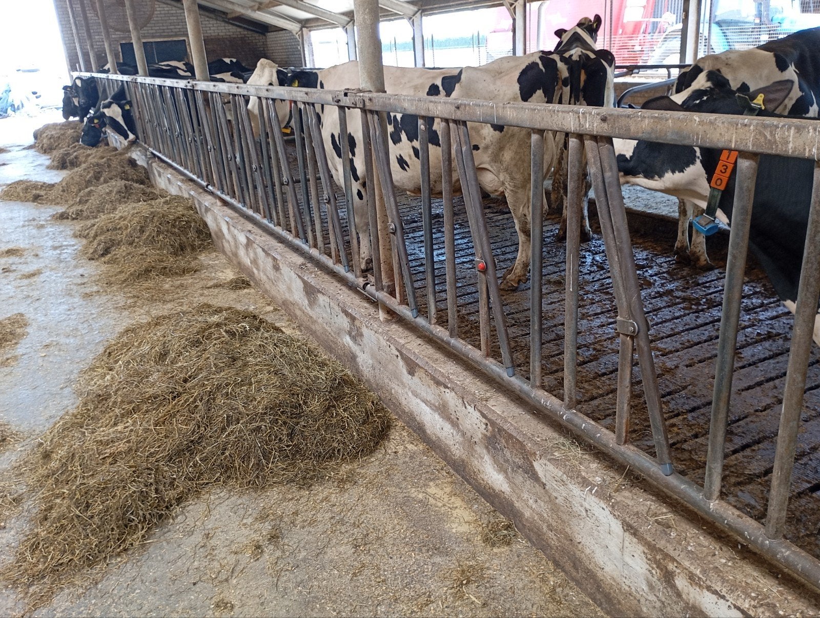 spinder voerhekken stal toebehoren, Dieren en Toebehoren, Ophalen, Gebruikt