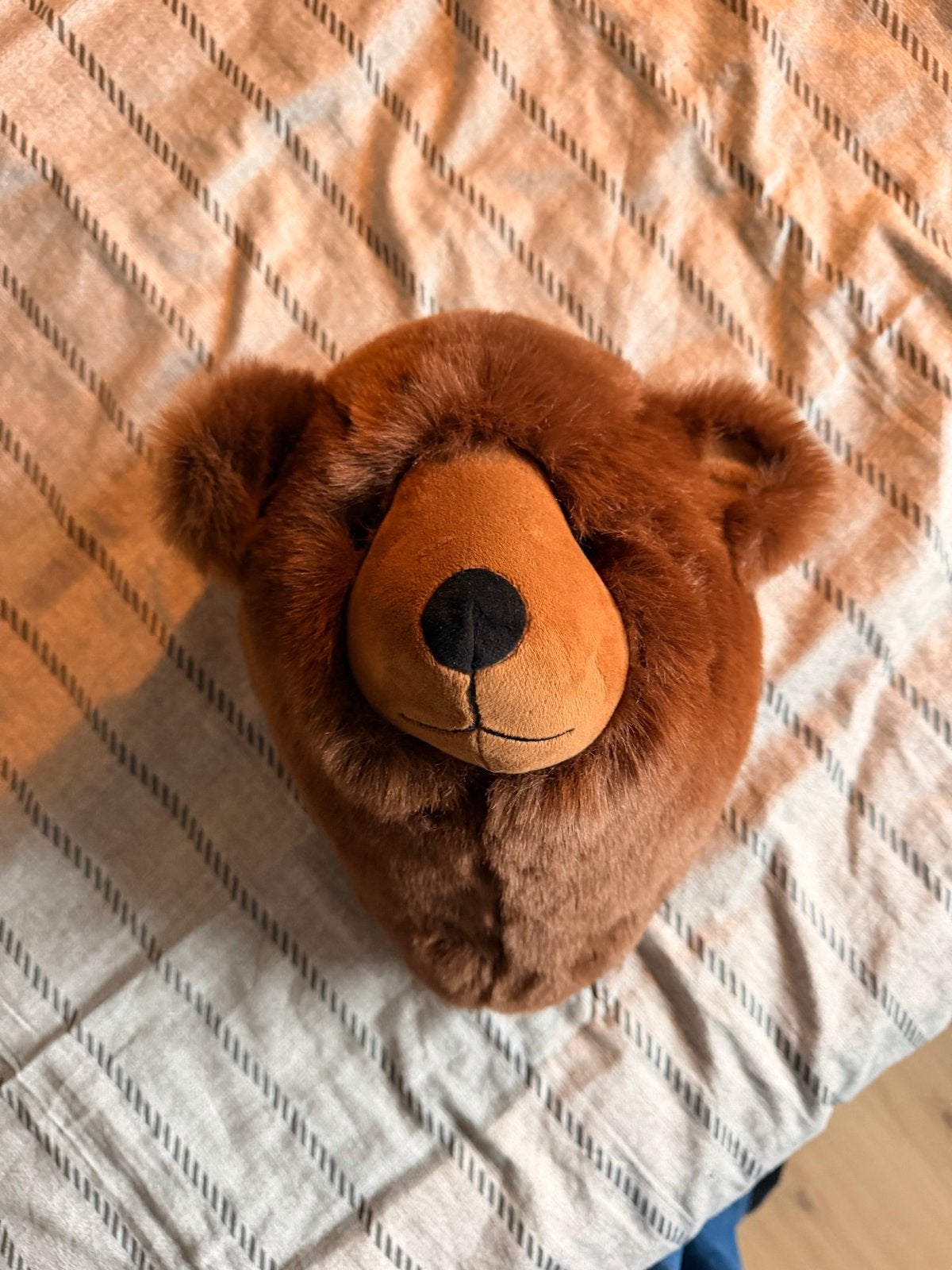 Leuke bruine berenkop voor aan de muur, Ophalen, Beer, Zo goed als nieuw, Middelgroot (20 tot 80 cm)