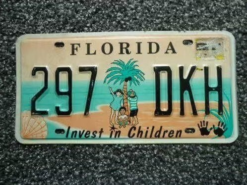 Kentekenplaat licenseplate Florida Invest in Children USA, Verzenden, Gebruikt, Auto's