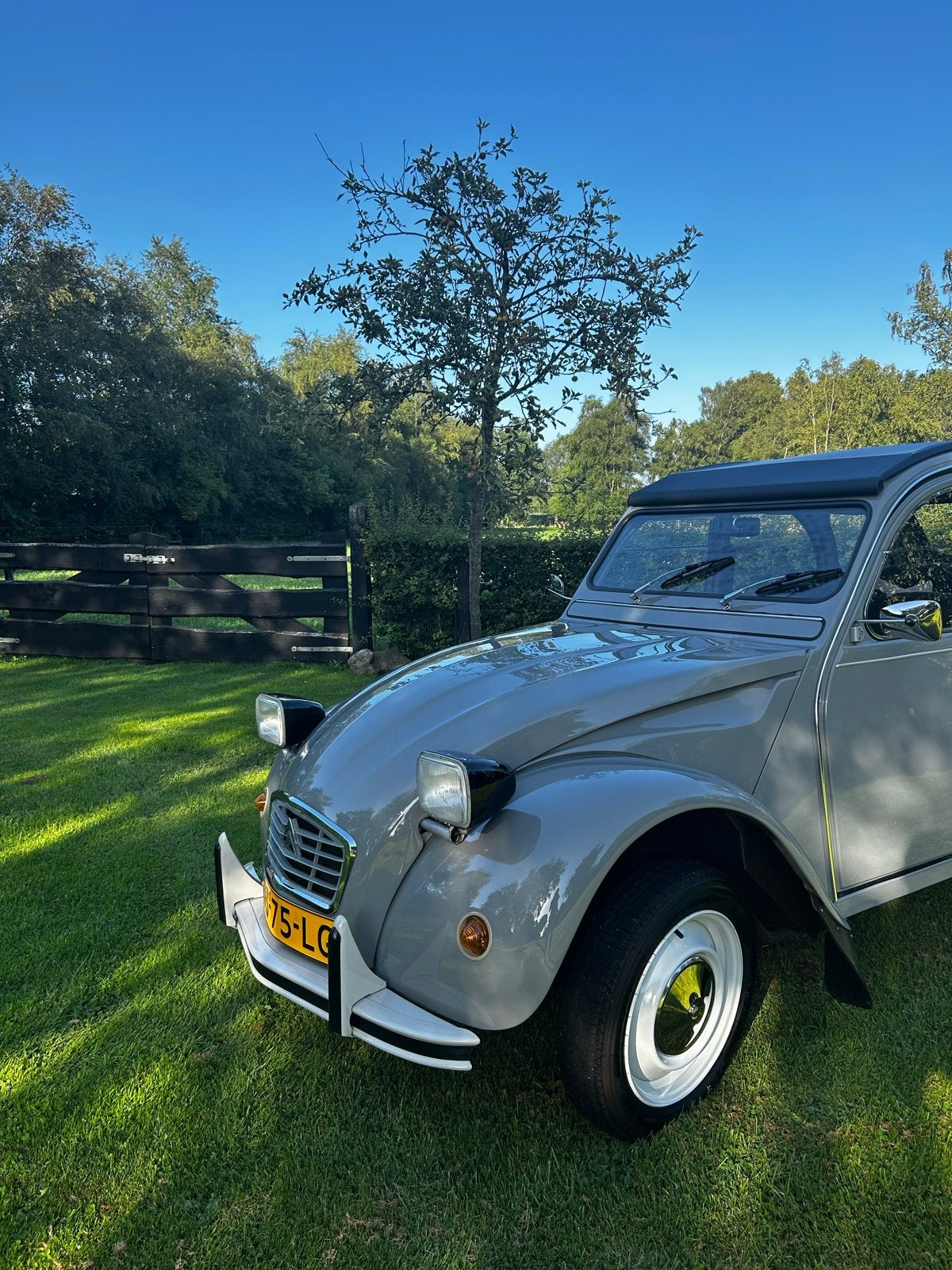 Citroën 2CV 0.6 1979 grijs, Auto's, Citroën, 602 cc, 2CV, Overige kleuren, 29 pk