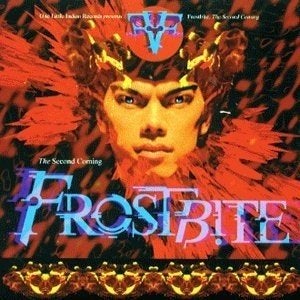 cd van Frostbite ‎– The Second Coming, Cd's en Dvd's, Verzenden, Zo goed als nieuw, Disco