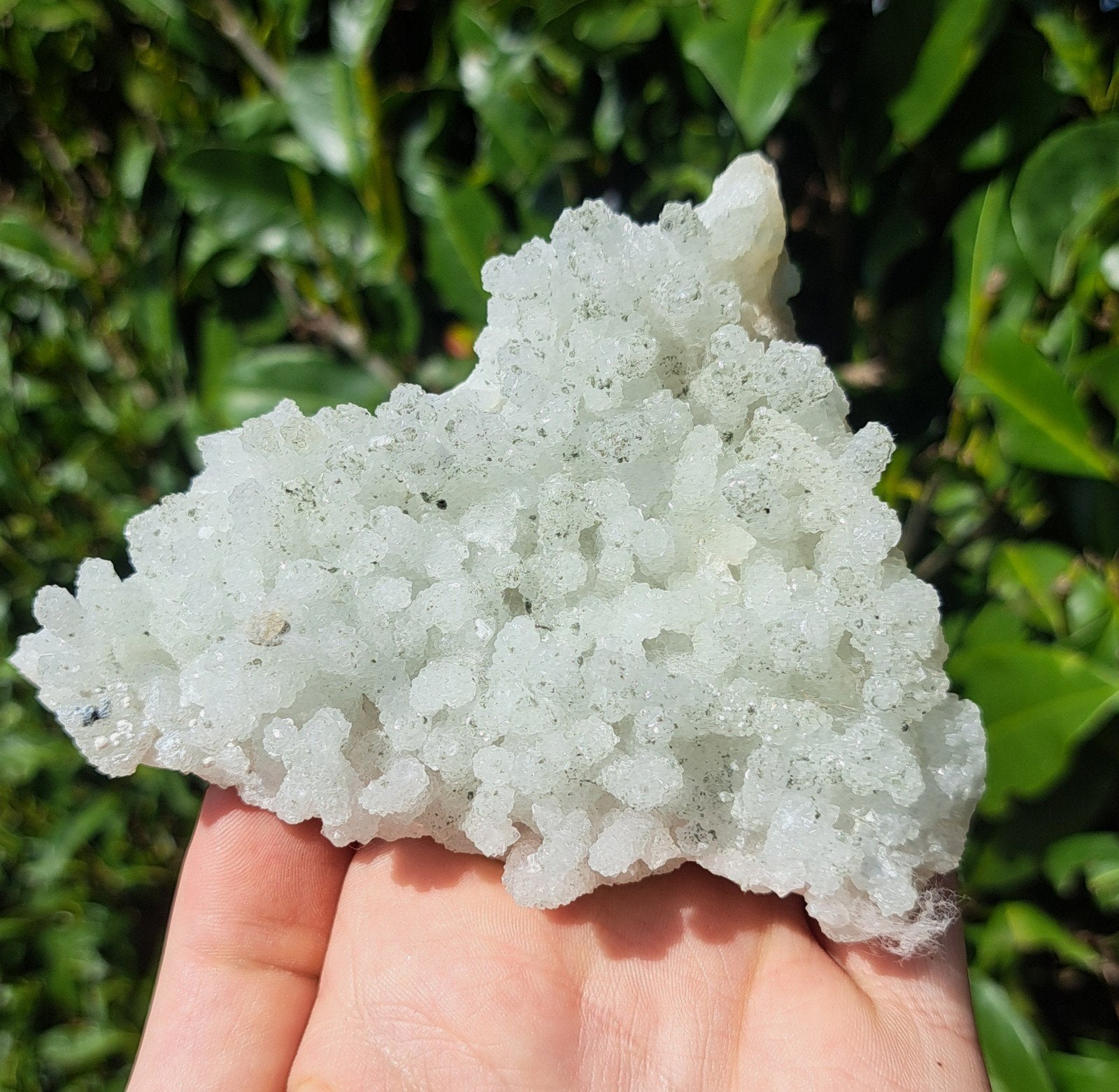 Prehniet cluster India edelsteen mineralen verzameling, Ophalen of Verzenden
