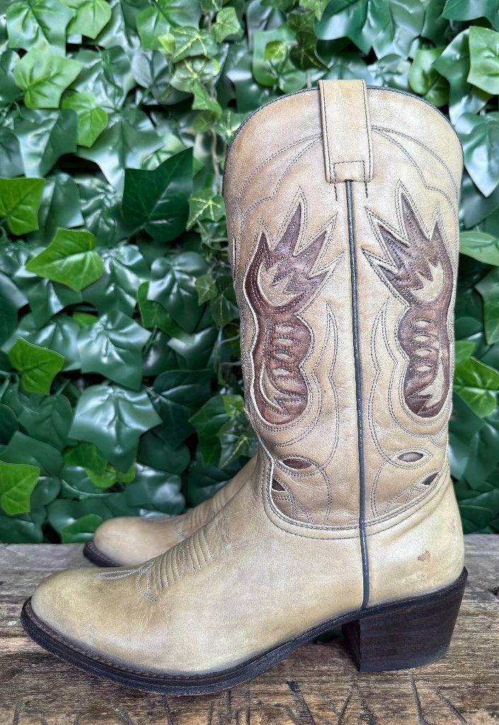 bijna Nieuwe mooie  laarzen van sendra maat 37, Kleding | Dames, Bruin, Nieuw, Ophalen of Verzenden, Sendra