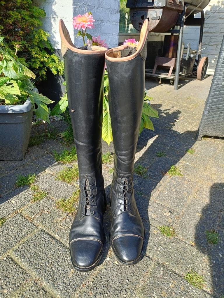 Salentino TriColore rijlaarzen maat 38 S, Gebruikt, Dressuur, Ophalen of Verzenden, Dames